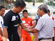 Bóng đá anh, ngoại hạng anh, lịch thi đấu euro 2012, HLV Lê Thụy Hải: “Tôi như được giải thoát”